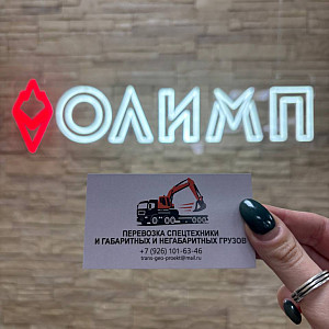 Наше портфолио - Визитки для компании &quot;Трансгеопроект&quot;